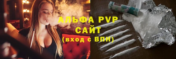 прущий лед Бородино