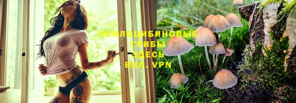 прущий лед Бородино