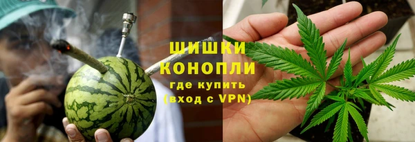 прущий лед Бородино