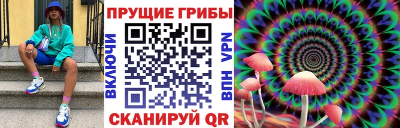 закладка  Мензелинск  Псилоцибиновые грибы Cubensis 